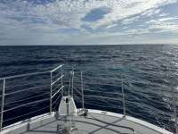 Great day of scuba diving in Key Largo with Rainbow Reef on uscgc duane tropical odyssey 2024 12 26 r17181 1