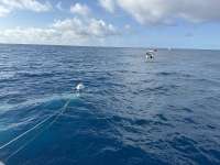 Great day of scuba diving in Key Largo with Rainbow Reef on uscgc duane tropical odyssey 2024 12 30 r17212 1