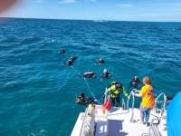 Great day of scuba diving in Key Largo with Rainbow Reef on jjs cave tropical serenity 2024 02 08 r15103 1
