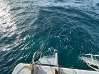 Great day of scuba diving in Key Largo with Rainbow Reef on molasses reef tropical destiny 2024 02 01 r15077 1