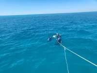 Great day of scuba diving in Key Largo with Rainbow Reef on christ statue tropical legend 2024 01 31 r15076 1