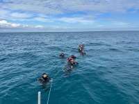 Great day of scuba diving in Key Largo with Rainbow Reef on christ statue tropical odyssey 2024 01 04 r14989 1