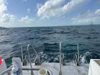 Great day of scuba diving in Key Largo with Rainbow Reef on molasses reef tropical odyssey 2024 01 05 r14994 1