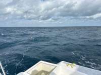 Great day of scuba diving in Key Largo with Rainbow Reef on spiegel grove tropical odyssey 2024 01 05 r14993 1