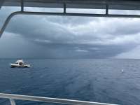 Great day of scuba diving in Key Largo with Rainbow Reef on benwood wreck tropical odyssey 2024 07 11 r16041 1