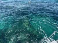 Great day of scuba diving in Key Largo with Rainbow Reef on christ statue tropical serenity 2024 07 03 r15977 1