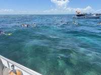 Great day of scuba diving in Key Largo with Rainbow Reef on christ statue tropical serenity 2024 07 04 r15985 1