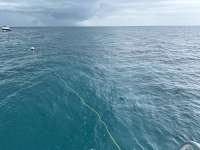 Great day of scuba diving in Key Largo with Rainbow Reef on christ statue tropical serenity 2024 07 11 r16040 1
