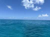 Great day of scuba diving in Key Largo with Rainbow Reef on crf nursery tropical destiny 2024 07 18 r16095 1