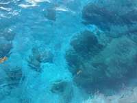 Great day of scuba diving in Key Largo with Rainbow Reef on eagle ray alley tropical legend 2024 07 28 r16172 1