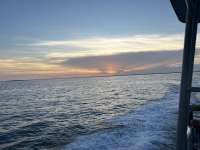 Great day of scuba diving in Key Largo with Rainbow Reef on eagle ray alley tropical odyssey 2024 07 06 r16008 1