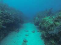 Great day of scuba diving in Key Largo with Rainbow Reef on hard bottom cave tropical destiny 2024 07 01 r15965 1