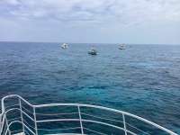 Great day of scuba diving in Key Largo with Rainbow Reef on hole in the wall tropical legend 2024 07 12 r16047 1