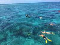 Great day of scuba diving in Key Largo with Rainbow Reef on hole in the wall tropical odyssey 2024 07 07 r16015 2