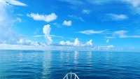 Great day of scuba diving in Key Largo with Rainbow Reef on jjs cave tropical legend 2024 07 10 r16032 2