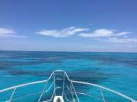 Great day of scuba diving in Key Largo with Rainbow Reef on molasses reef tropical odyssey 2024 07 19 r16107 1