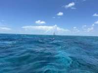 Great day of scuba diving in Key Largo with Rainbow Reef on north star tropical legend 2024 07 24 r16146 1