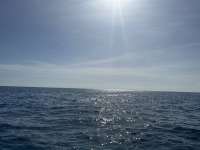 Great day of scuba diving in Key Largo with Rainbow Reef on snapper ledge tropical legend 2024 07 05 r15989 1
