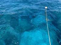 Great day of scuba diving in Key Largo with Rainbow Reef on wellwood tropical legend 2024 07 26 r16161 1