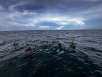 Great day of scuba diving in Key Largo with Rainbow Reef on winch hole tropical destiny 2024 07 13 r16048 1