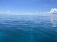 Great day of scuba diving in Key Largo with Rainbow Reef on benwood wreck tropical serenity 2024 06 10 r15827 1