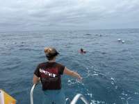 Great day of scuba diving in Key Largo with Rainbow Reef on christ statue tropical serenity 2024 06 13 r15850 1