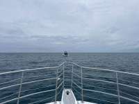Great day of scuba diving in Key Largo with Rainbow Reef on christmastree cave tropical odyssey 2024 06 14 r15855 1