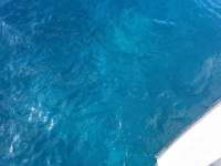 Great day of scuba diving in Key Largo with Rainbow Reef on crf nursery tropical legend 2024 06 08 r15810 1