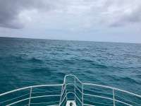 Great day of scuba diving in Key Largo with Rainbow Reef on crf nursery tropical legend 2024 06 13 r15851 1