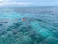 Great day of scuba diving in Key Largo with Rainbow Reef on double north tropical serenity 2024 06 27 r15937 1