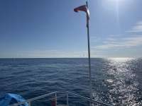 Great day of scuba diving in Key Largo with Rainbow Reef on drift molasses tropical legend 2024 06 06 r15792 1