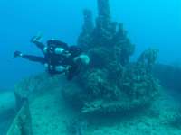 Great day of scuba diving in Key Largo with Rainbow Reef on spiegel grove tropical serenity 2024 06 25 r15918 2