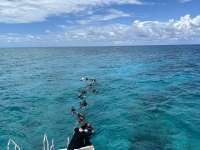 Great day of scuba diving in Key Largo with Rainbow Reef on undersea highway tropical serenity 2024 06 10 r15830 1