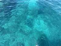 Great day of scuba diving in Key Largo with Rainbow Reef on christ statue tropical serenity 2024 03 13 r15247 1