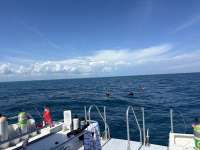 Great day of scuba diving in Key Largo with Rainbow Reef on french reef tropical legend 2024 03 07 r15211 1