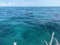 Great day of scuba diving in Key Largo with Rainbow Reef on molasses reef tropical legend 2024 03 07 r15210 1