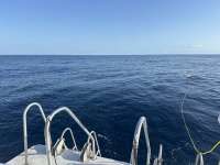 Great day of scuba diving in Key Largo with Rainbow Reef on spiegel grove tropical serenity 2024 03 13 r15244 1