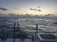 Great day of scuba diving in Key Largo with Rainbow Reef on benwood wreck tropical serenity 2024 05 07 r15551 1