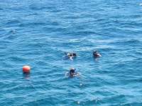 Great day of scuba diving in Key Largo with Rainbow Reef on benwood wreck tropical serenity 2024 05 31 r15746 1