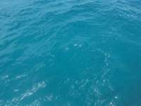 Great day of scuba diving in Key Largo with Rainbow Reef on christ statue tropical serenity 2024 05 16 r15616 1