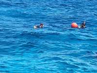 Great day of scuba diving in Key Largo with Rainbow Reef on eagle ray alley tropical legend 2024 05 01 r15501 1