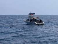Great day of scuba diving in Key Largo with Rainbow Reef on french twist tropical legend 2024 05 18 r15638 1