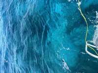 Great day of scuba diving in Key Largo with Rainbow Reef on molasses reef tropical destiny 2024 05 08 r15552 1