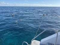 Great day of scuba diving in Key Largo with Rainbow Reef on nine channel tropical destiny 2024 05 23 r15670 1