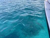 Great day of scuba diving in Key Largo with Rainbow Reef on north star tropical serenity 2024 05 26 r15693 1