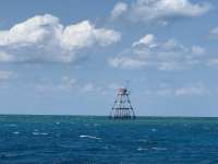Great day of scuba diving in Key Largo with Rainbow Reef on spanish anchor tropical destiny 2024 05 31 r15741 1