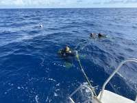 Great day of scuba diving in Key Largo with Rainbow Reef on spiegel grove tropical serenity 2024 05 01 r15498 1