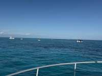 Great day of scuba diving in Key Largo with Rainbow Reef on banana patch tropical odyssey 2024 11 29 r17013 1