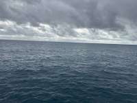 Great day of scuba diving in Key Largo with Rainbow Reef on benwood wreck tropical destiny 2024 11 11 r16854 1
