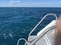 Great day of scuba diving in Key Largo with Rainbow Reef on benwood wreck tropical destiny 2024 11 16 r16912 1